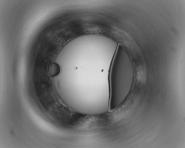 X0000111480764200907141217