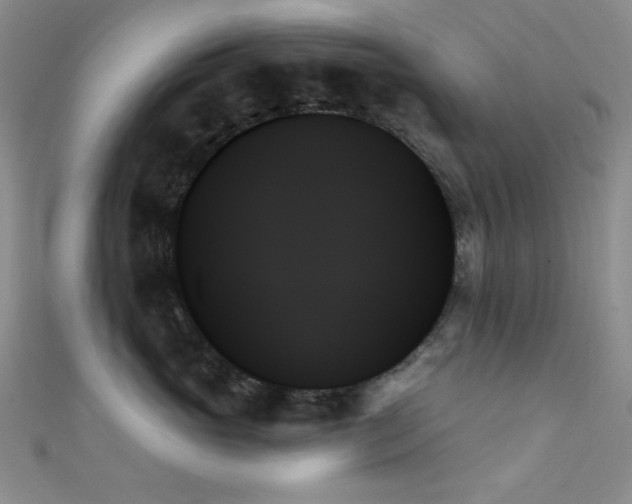 X0000111480765200907141217