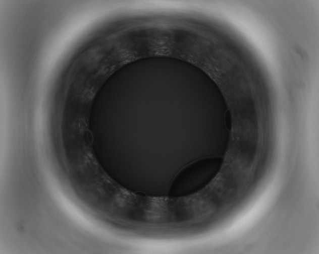 X0000111480766200907141217