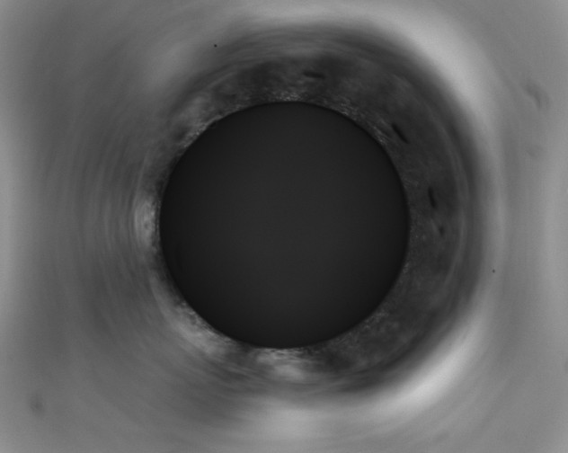 X0000111480767200907141217