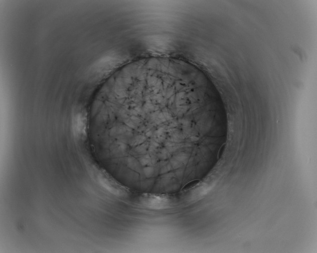 X0000111480768200907141217