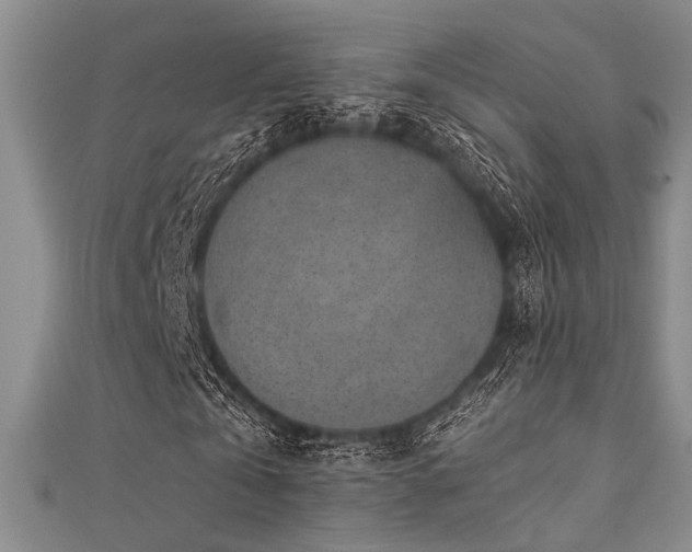 X0000111480769200907141217