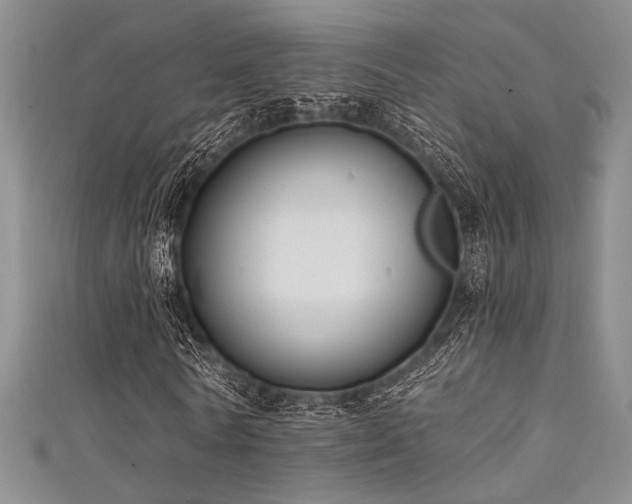 X0000111480770200907141217