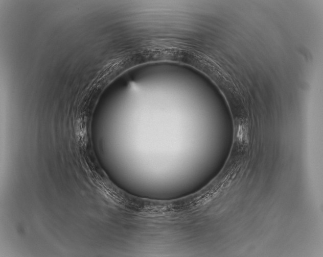 X0000111480771200907141217