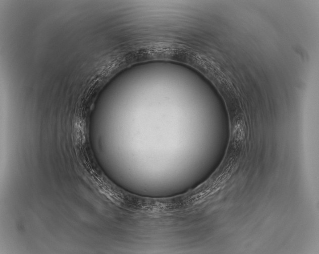 X0000111480772200907141217