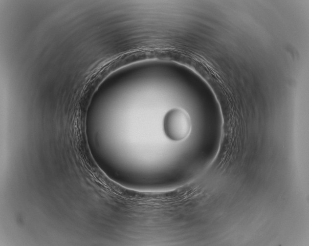 X0000111480773200907141217