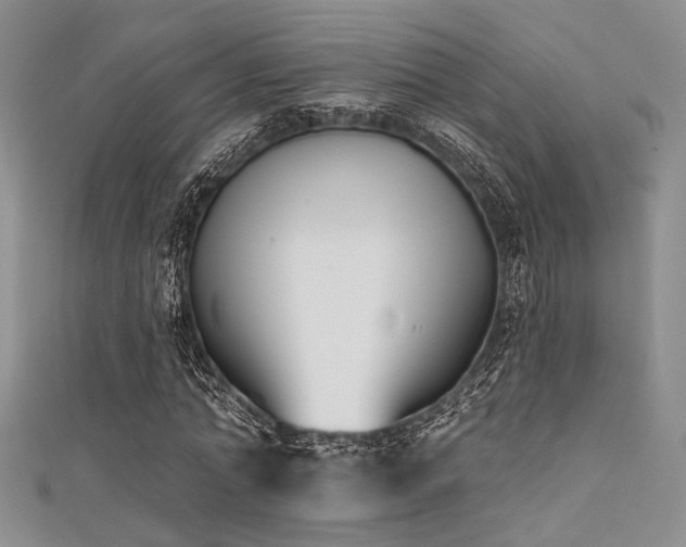 X0000111480774200907141217