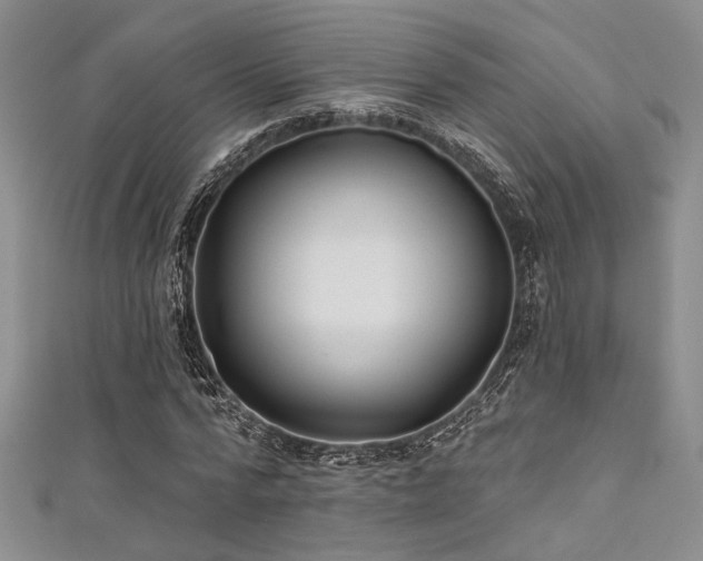 X0000111480776200907141217
