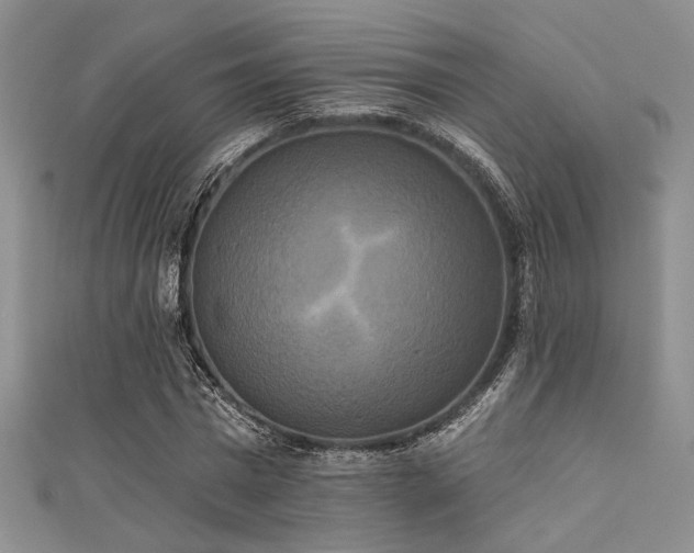 X0000111480777200907141217