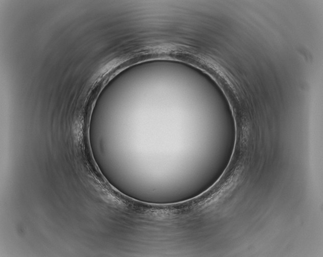 X0000111480778200907141217