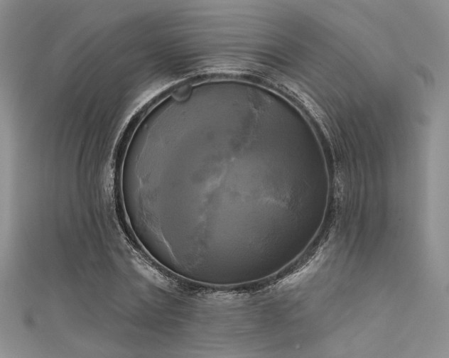 X0000111480779200907141217