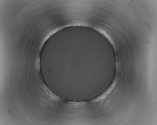 X0000111480781200907141216