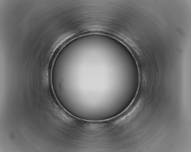X0000111480782200907141216
