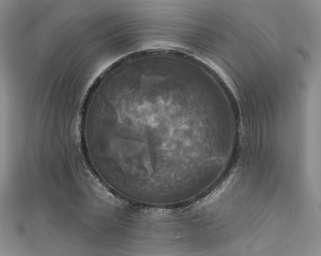 X0000111480783200907141216