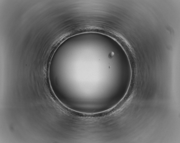 X0000111480785200907141216