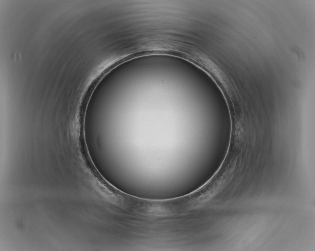X0000111480787200907141216