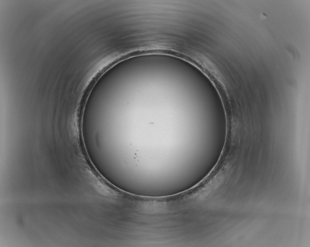 X0000111480789200907141216