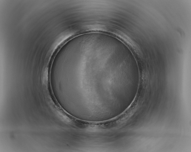 X0000111480790200907141216