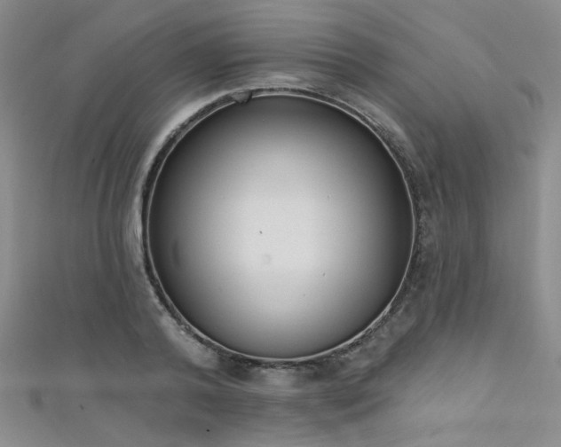 X0000111480792200907141216