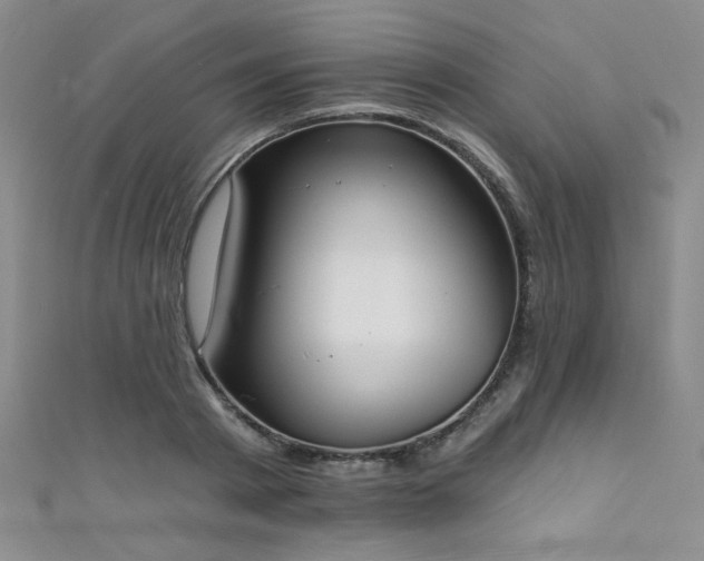 X0000111480793200907141216