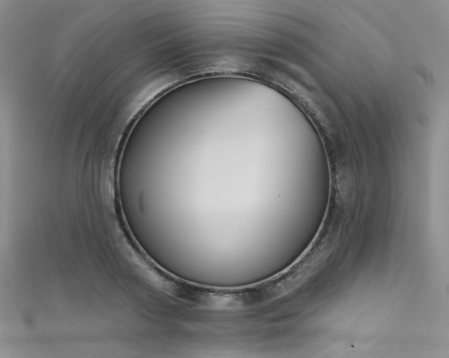 X0000111480794200907141216