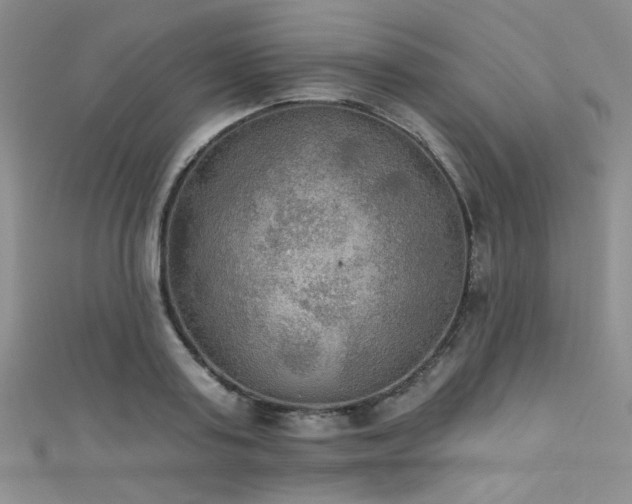 X0000111480795200907141216