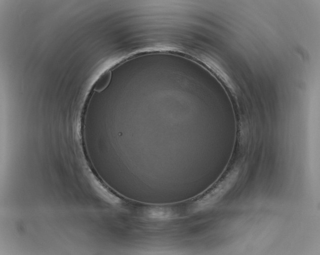 X0000111480797200907141216
