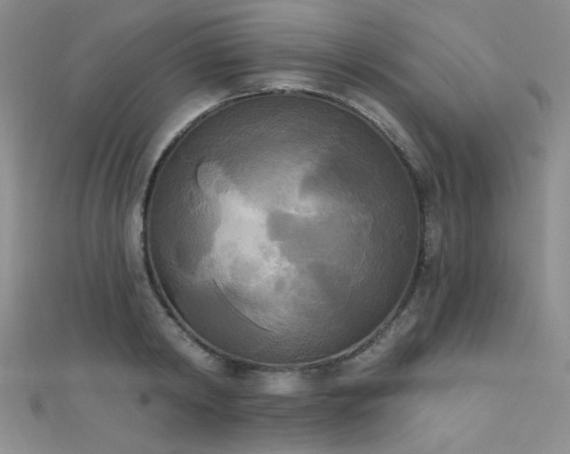 X0000111480798200907141216