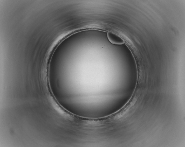 X0000111480800200907141216