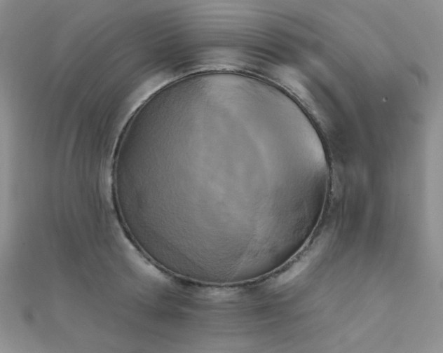 X0000111480802200907141216