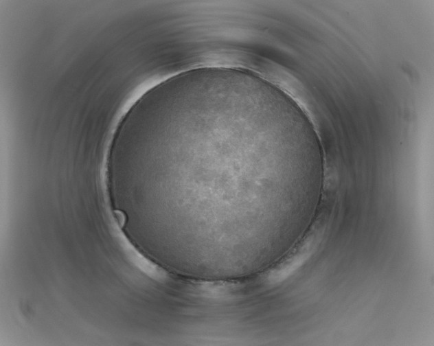 X0000111480803200907141216