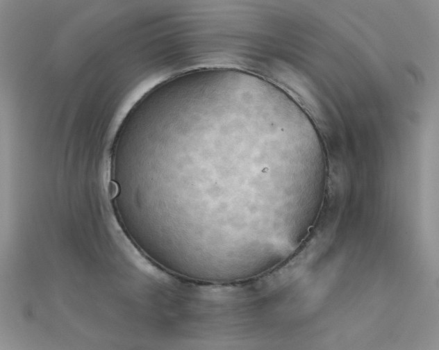X0000111480804200907141216