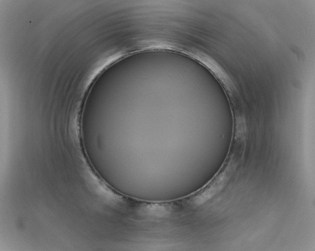 X0000111480806200907141216