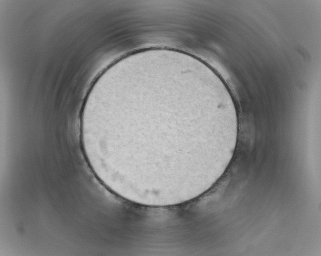 X0000111480807200907141216