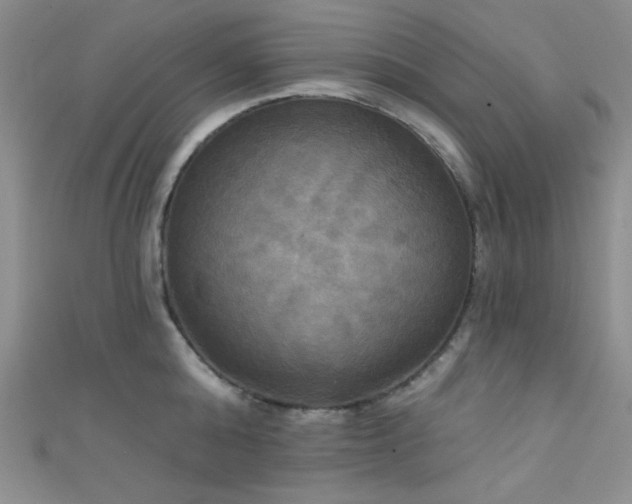 X0000111480808200907141216