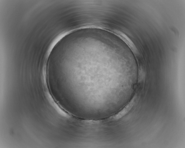 X0000111480812200907141216