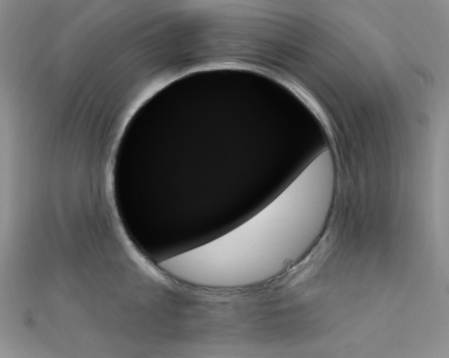 X0000111480813200907141216