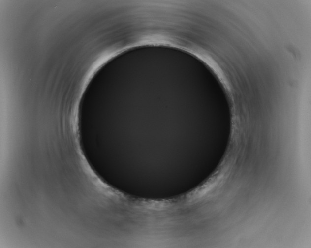 X0000111480815200907141216