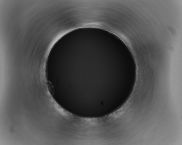 X0000111480816200907141216