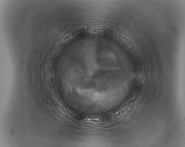 X0000111480817200907141215