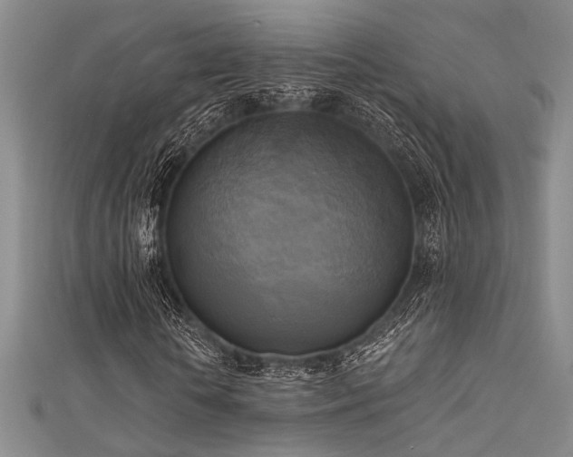 X0000111480818200907141215