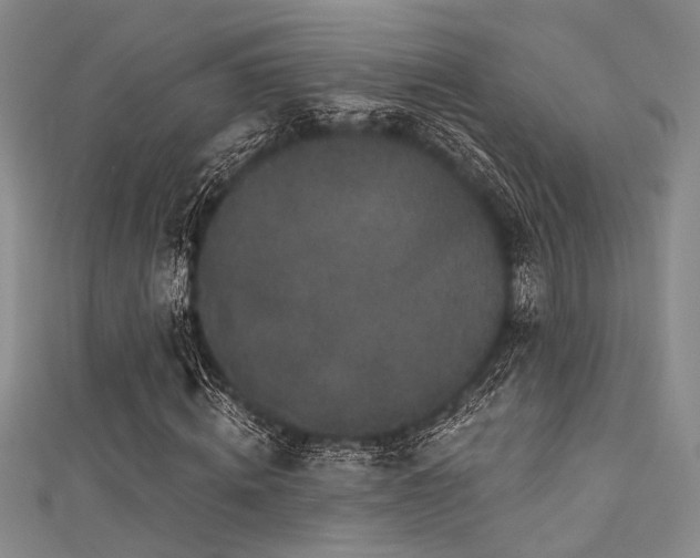 X0000111480820200907141215