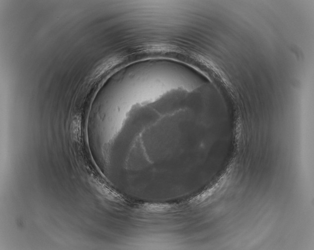 X0000111480825200907141216