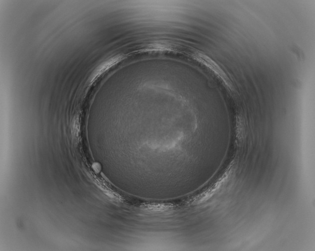 X0000111480826200907141216