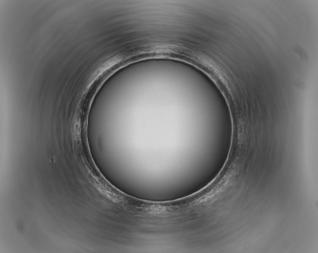 X0000111480827200907141216