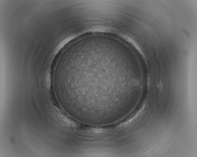 X0000111480829200907141216