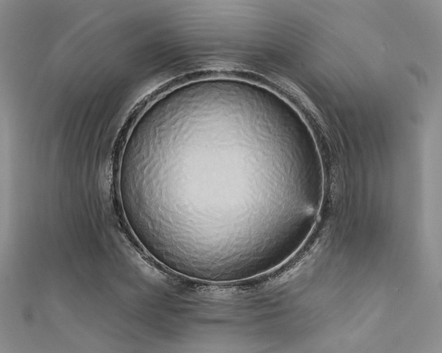 X0000111480831200907141216