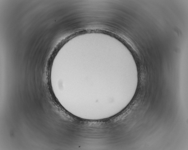 X0000111480832200907141216