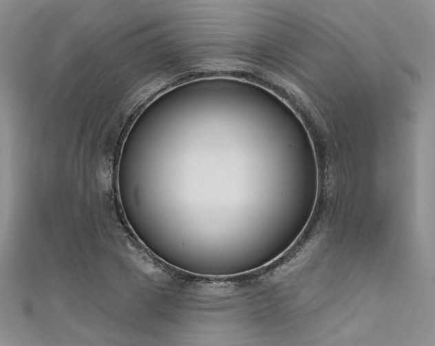 X0000111480833200907141216