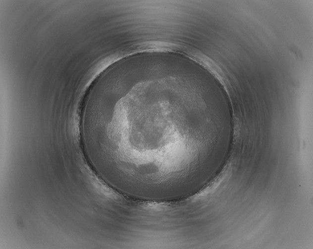 X0000111480835200907141216